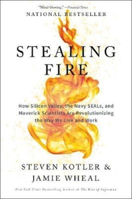 Stealing Fire - How Silicon Valley, the Navy SEALs, and Maverick S