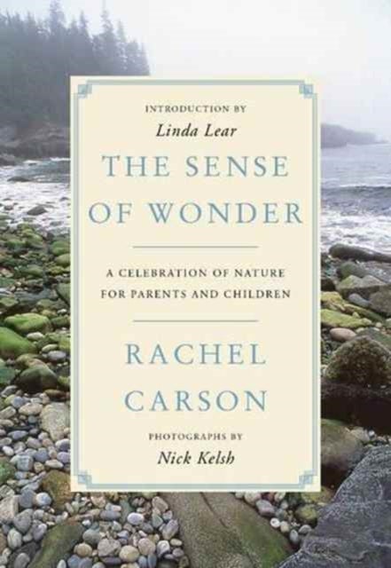 Bilde av The Sense Of Wonder Av Rachel Carson
