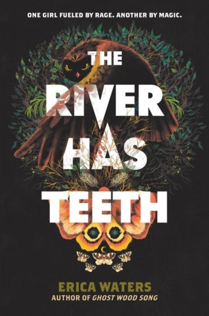 Bilde av The River Has Teeth Av Erica Waters