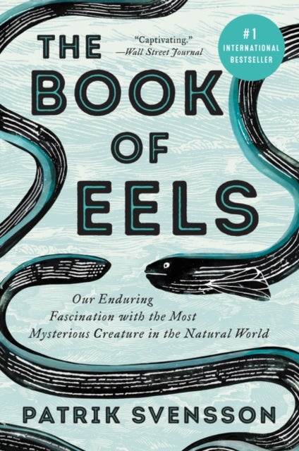 Bilde av The Book Of Eels Av Patrik Svensson