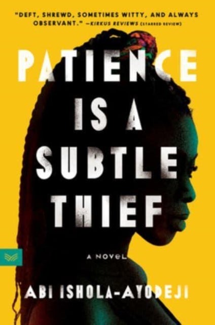 Patience Is a Subtle Thief - A Novel