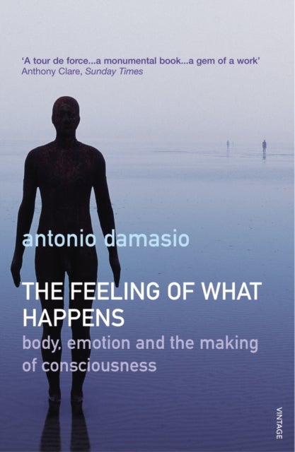 Bilde av The Feeling Of What Happens Av Antonio Damasio
