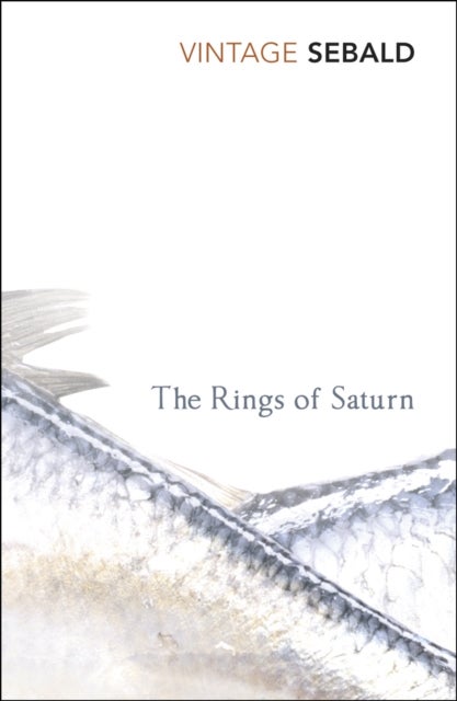 The Rings of Saturn