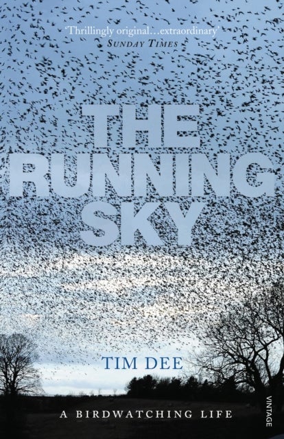 The Running Sky - A Bird-Watching Life