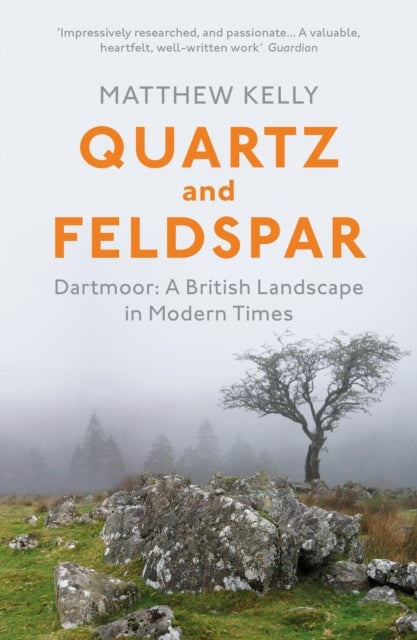 Quartz and Feldspar - Dartmoor - A British Landscape in Modern Times