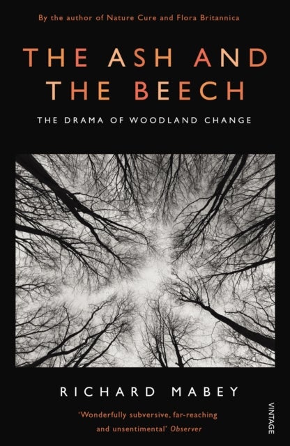 The Ash and The Beech - The Drama of Woodland Change