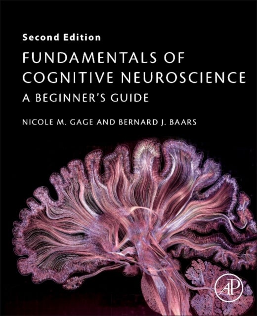 Bilde av Fundamentals Of Cognitive Neuroscience Av Nicole M. (associate Researcher Department Of Cognitive Sciences University Of California Irvine Usa) Gage,