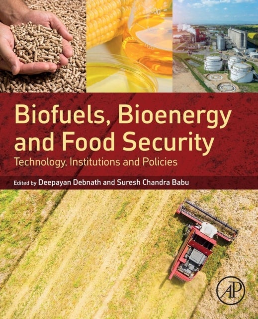 Bilde av Biofuels, Bioenergy And Food Security