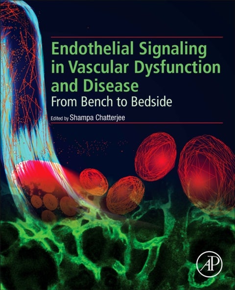 Endothelial Signaling in Vascular Dysfunction and Disease - From Bench to Bedside