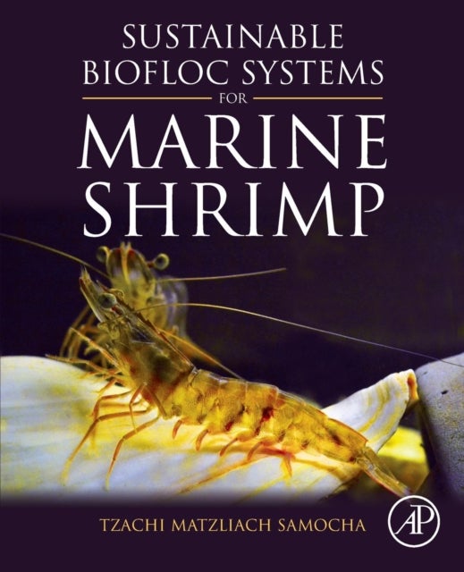Bilde av Sustainable Biofloc Systems For Marine Shrimp Av Tzachi Matzliach (professor Emeritus Agrilife Research Mariculture Lab Texas A&amp;m Agrilife Researc