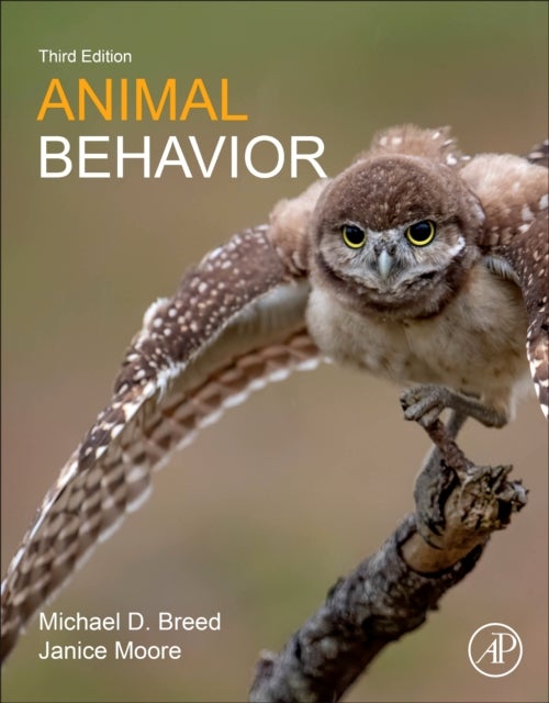 Bilde av Animal Behavior Av Michael D. (department Of Ecology And Evolutionary Biology University Of Colorado Boulder Co Usa) Breed, Janice (biology Department