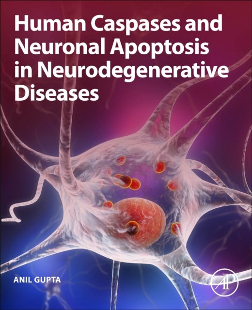 Bilde av Human Caspases And Neuronal Apoptosis In Neurodegenerative Diseases Av Anil (former-dean Research Professor And Head Department Of Biochemistry Desh B