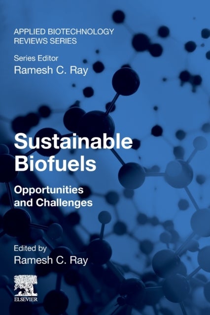Bilde av Sustainable Biofuels