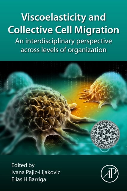 Viscoelasticity and Collective Cell Migration - An Interdisciplinary Perspective Across Levels of Organization