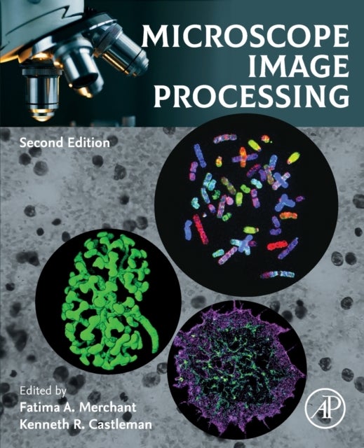 Bilde av Microscope Image Processing