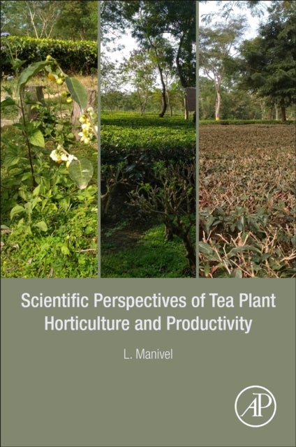Bilde av Scientific Perspectives Of Tea Plant Horticulture And Productivity Av L. (former Plant Physiologist Tocklai Tea Research Institute And Upasi Tea Resea