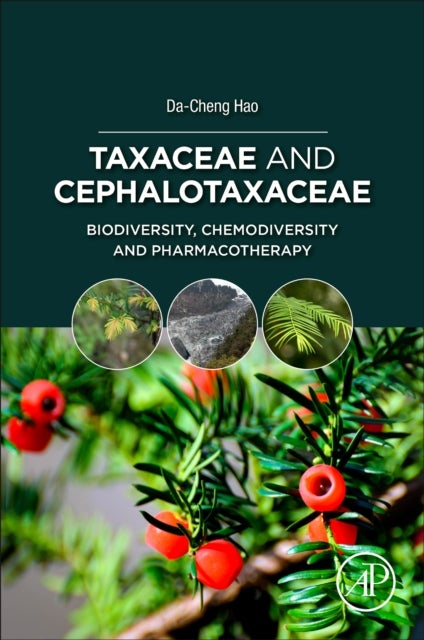 Taxaceae and Cephalotaxaceae - Biodiversity, Chemodiversity, and Pharmacotherapy