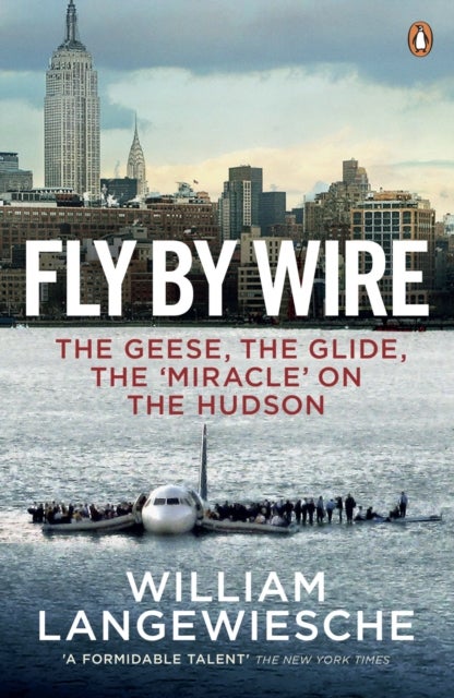 Fly By Wire - The Geese, The Glide, The 'Miracle' on the Hudson
