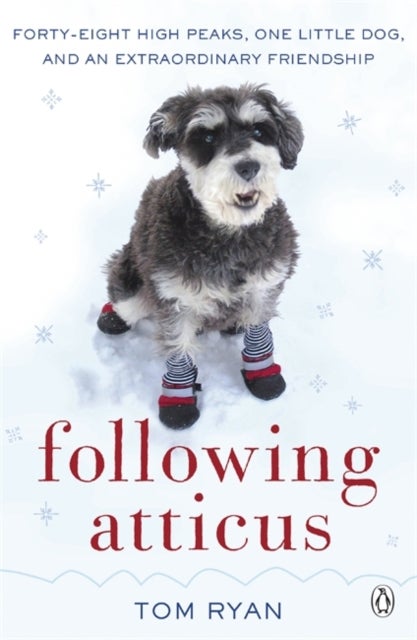 Following Atticus - How a little dog led one man on a journey of rediscovery to the top of the world
