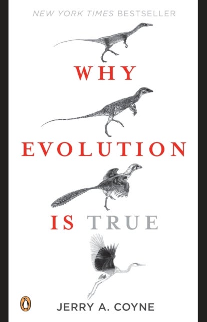 Bilde av Why Evolution Is True Av Jerry A. Coyne