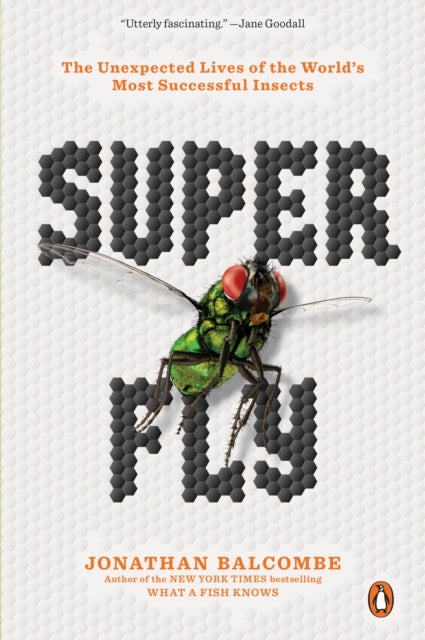 Super Fly - The Unexpected Lives of the World's Most Successful Insects