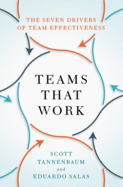 Teams That Work - The Seven Drivers of Team Effectiveness