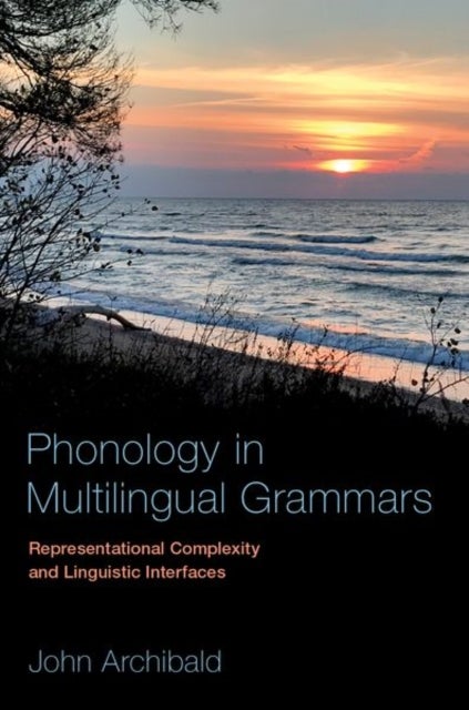 Phonology in Multilingual Grammars - Representational Complexity and Linguistic Interfaces