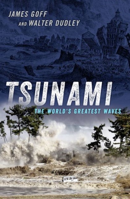 Bilde av Tsunami Av James (honorary Professor Of Tsunami Research Honorary Professor Of Tsunami Research University Of New South Wales) Goff, Walter (professor