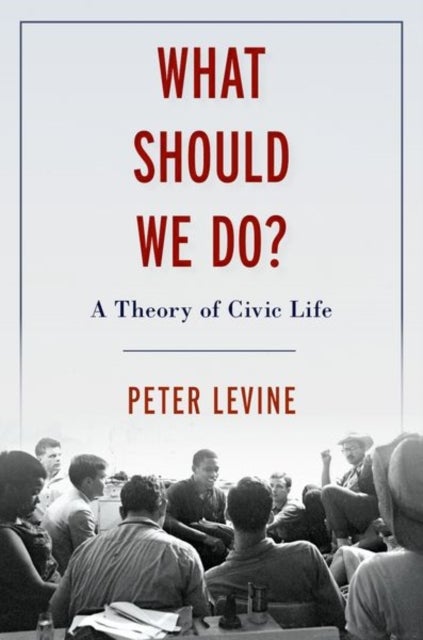 What Should We Do? - A Theory of Civic Life