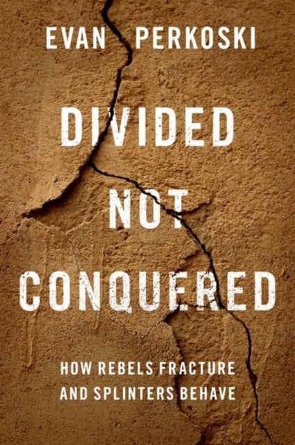 Divided Not Conquered - How Rebels Fracture and Splinters Behave