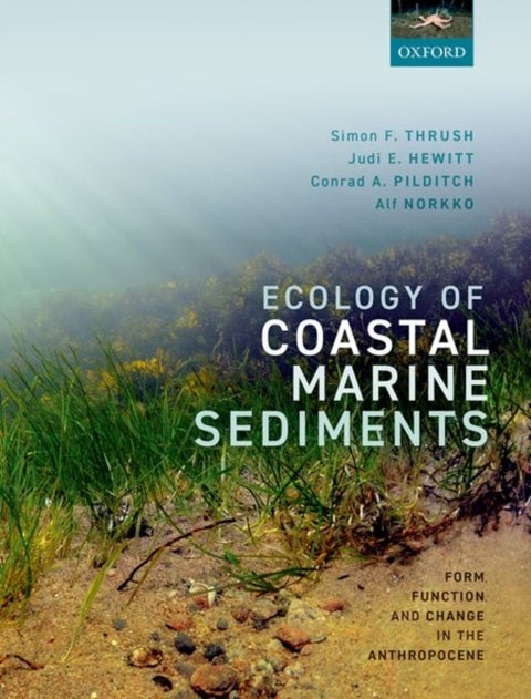 Ecology of Coastal Marine Sediments - Form, Function, and Change in the Anthropocene