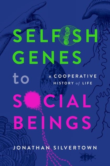 Bilde av Selfish Genes To Social Beings Av Jonathan (honorary Professor Honorary Professor Institute Of Ecology And Evolution University Of Edinburgh) Silverto