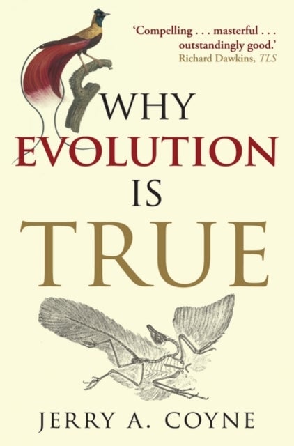 Bilde av Why Evolution Is True Av Jerry A. (professor Of Ecology &amp; Evolution University Of Chicago) Coyne