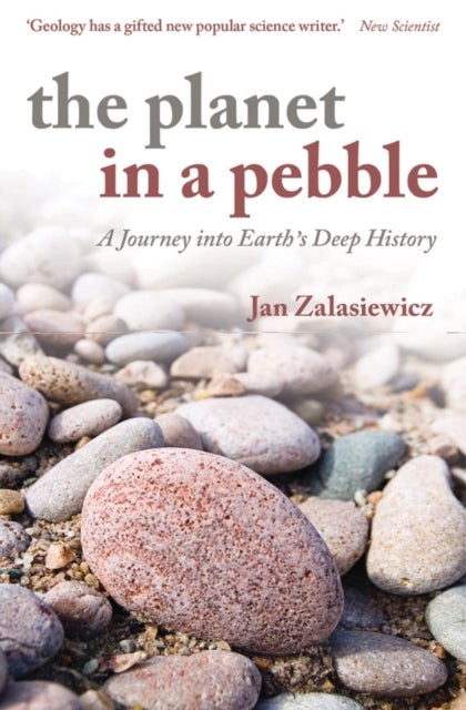 The Planet in a Pebble - A journey into Earth's deep history