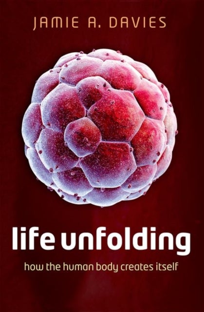 Life Unfolding - How the human body creates itself