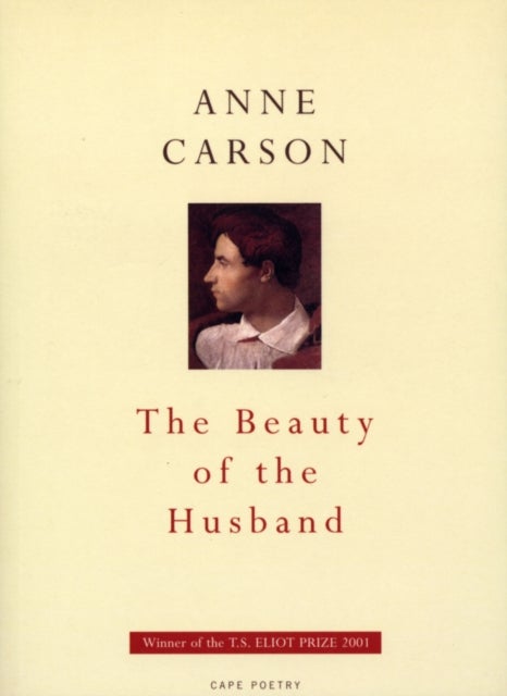 The beauty of the husband - a fictional essay in 29 tangos