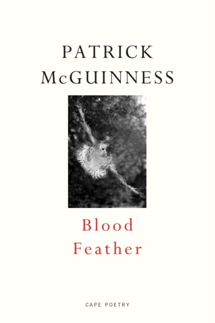 Blood Feather - 'He writes with Proustian elan and Nabokovian delight' John Banville