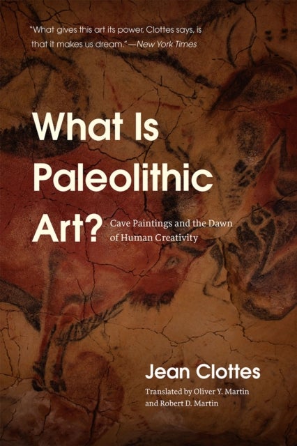 What Is Paleolithic Art? - Cave Paintings and the Dawn of Human Creativity