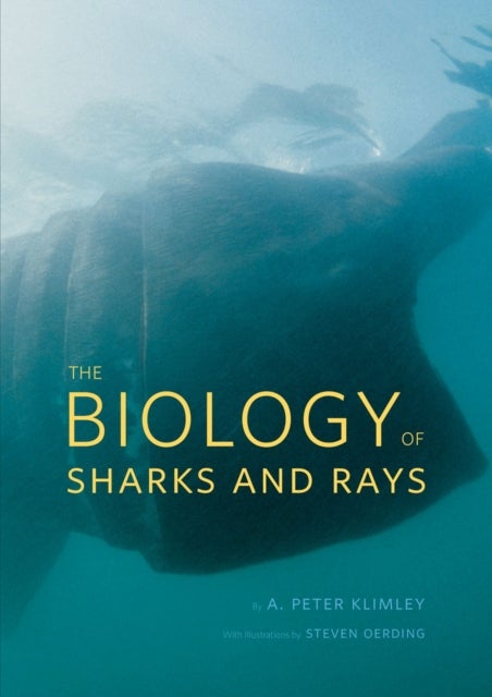 Bilde av The Biology Of Sharks And Rays Av A. Peter Klimley