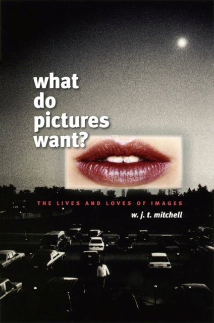 What Do Pictures Want? - The Lives and Loves of Images