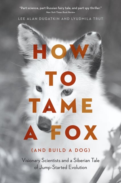 Bilde av How To Tame A Fox (and Build A Dog) Av Lee Alan Dugatkin, Lyudmila Trut