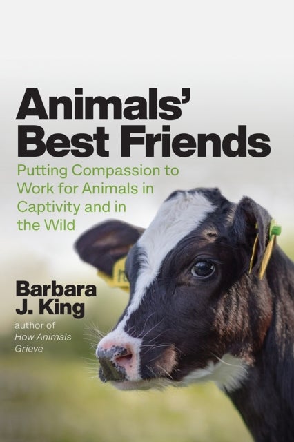 Animals' Best Friends - Putting Compassion to Work for Animals in Captivity and in the Wild