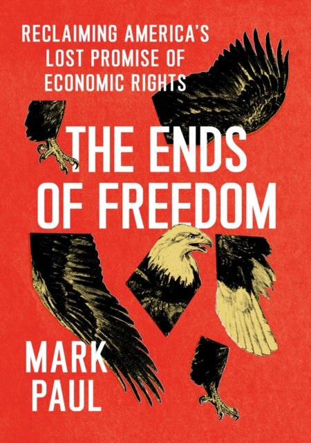 The Ends of Freedom - Reclaiming America's Lost Promise of Economic Rights
