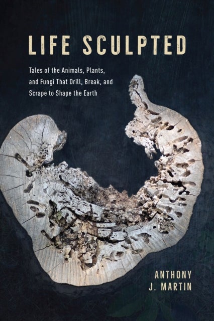 Life Sculpted - Tales of the Animals, Plants, and Fungi That Drill, Break, and Scrape to Shape the Earth