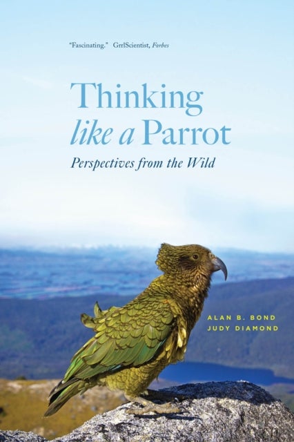 Thinking like a Parrot - Perspectives from the Wild