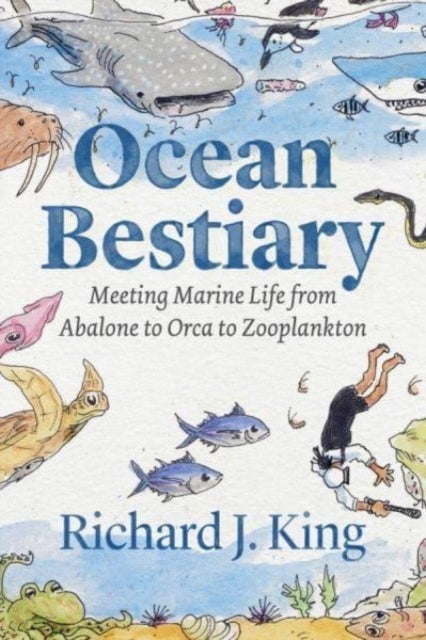 Ocean Bestiary - Meeting Marine Life from Abalone to Orca to Zooplankton