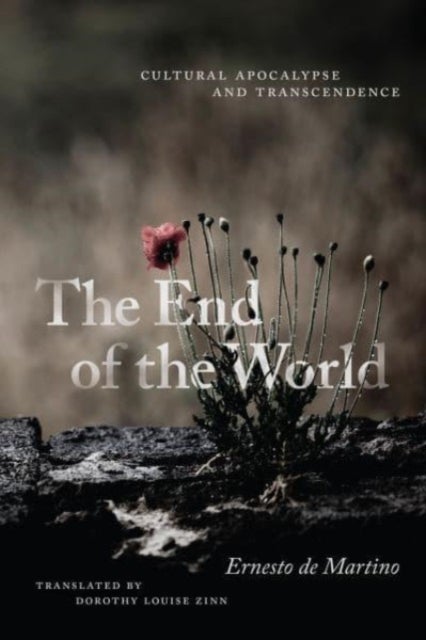 Bilde av The End Of The World Av Ernesto De Martino