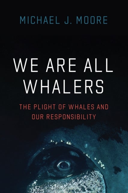 We Are All Whalers - The Plight of Whales and Our Responsibility