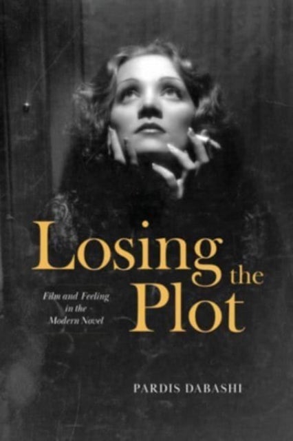 Losing the Plot - Film and Feeling in the Modern Novel