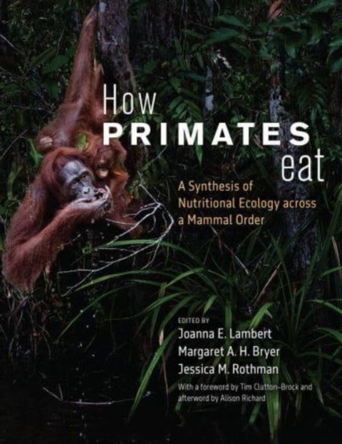 How Primates Eat - A Synthesis of Nutritional Ecology across a Mammal Order